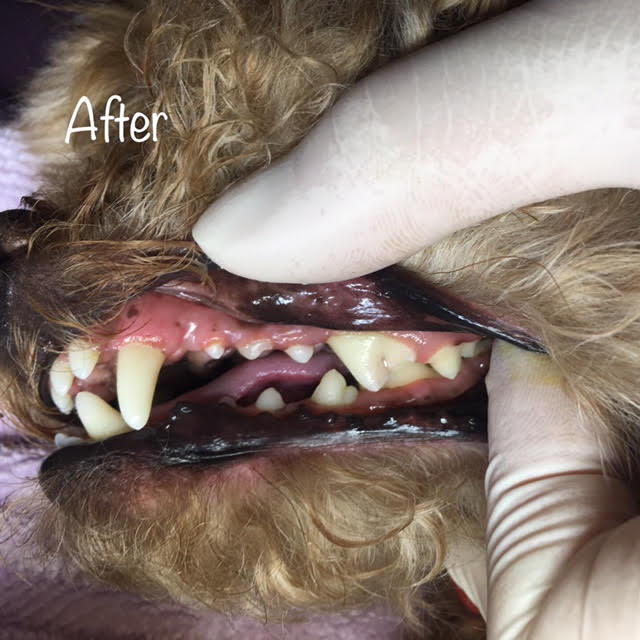 After After