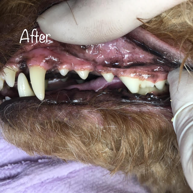After After