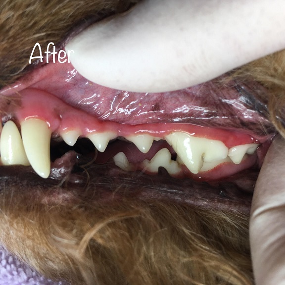 After After