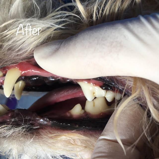 After After