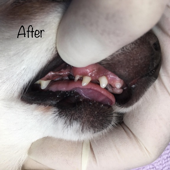 After After