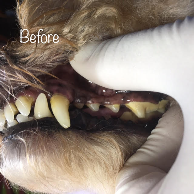 Before Before