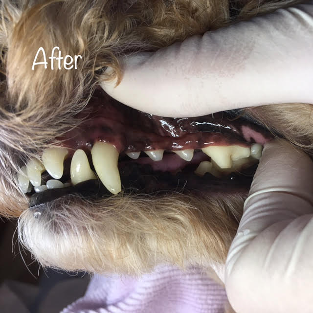 After After