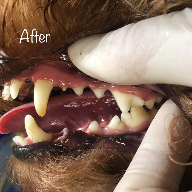 After After