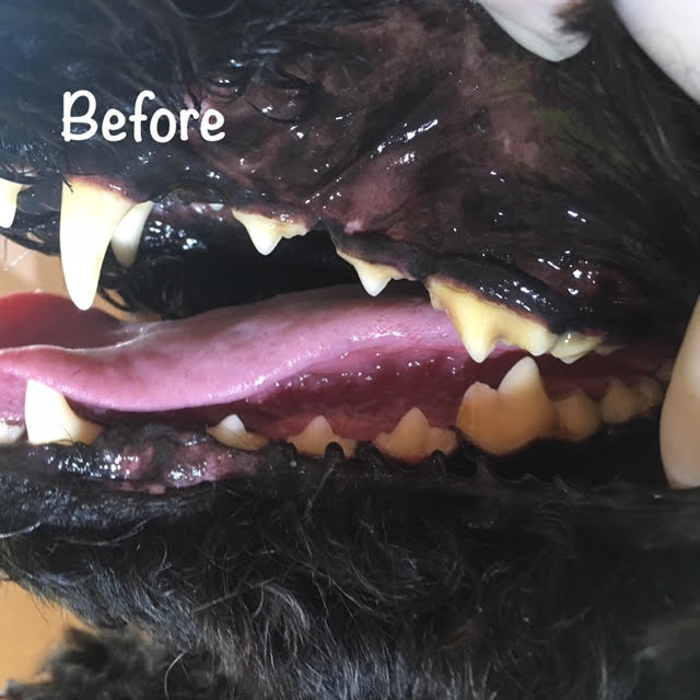 Before Before