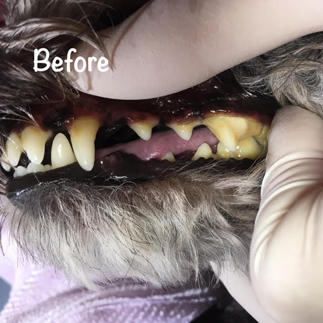 Before Before