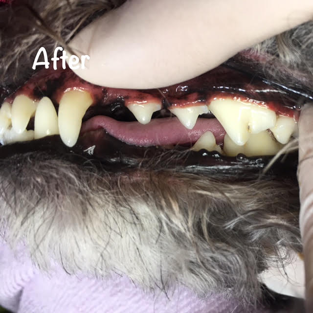 After After