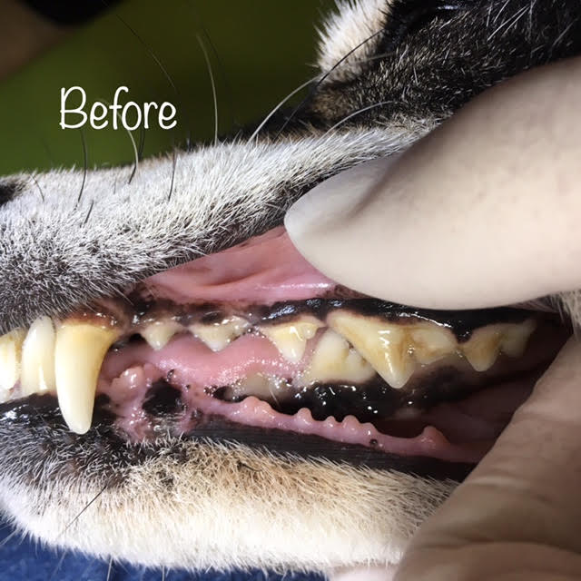Before Before