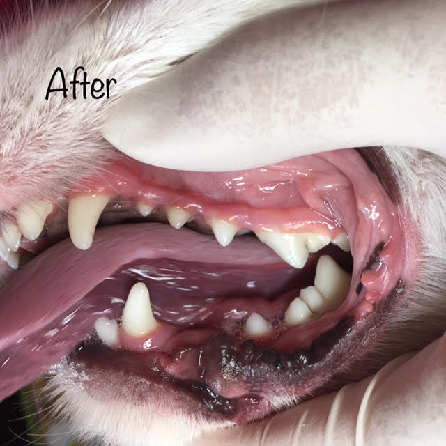 After After