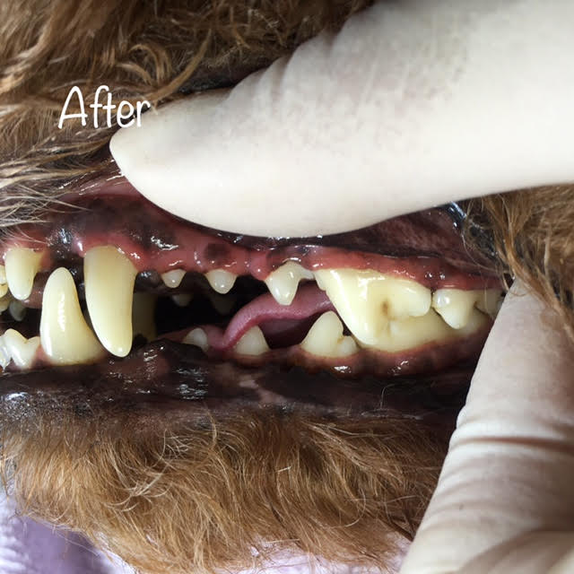 After After
