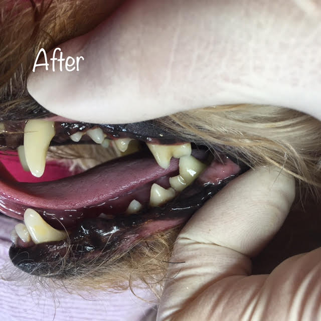 After After