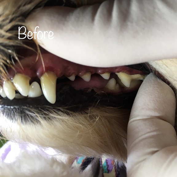 Before Before