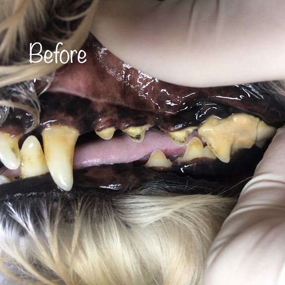 Before Before