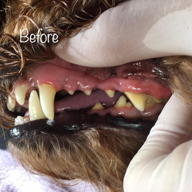 Before Before