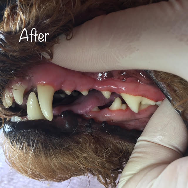 After After