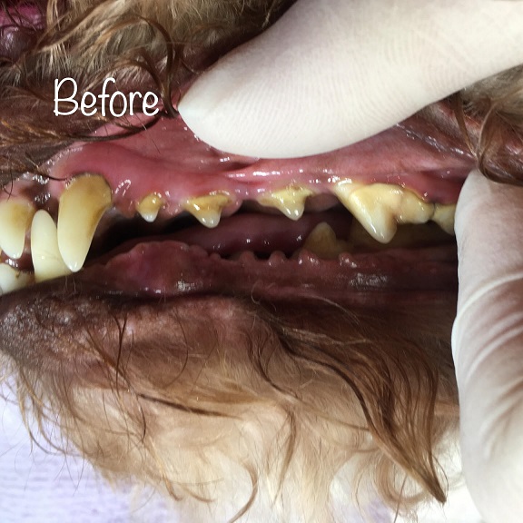 Before Before