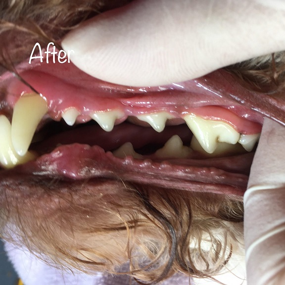 After After