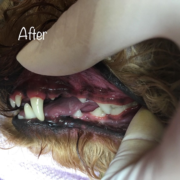 After After