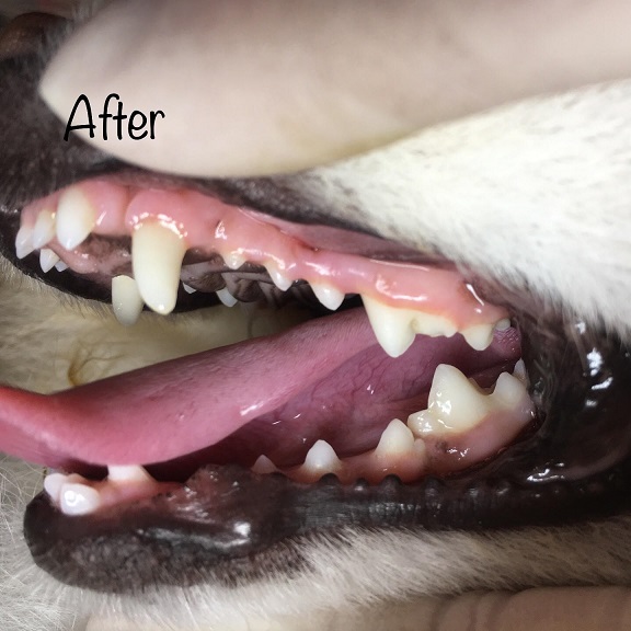After After