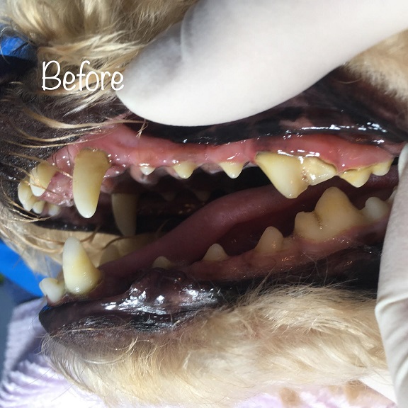Before Before