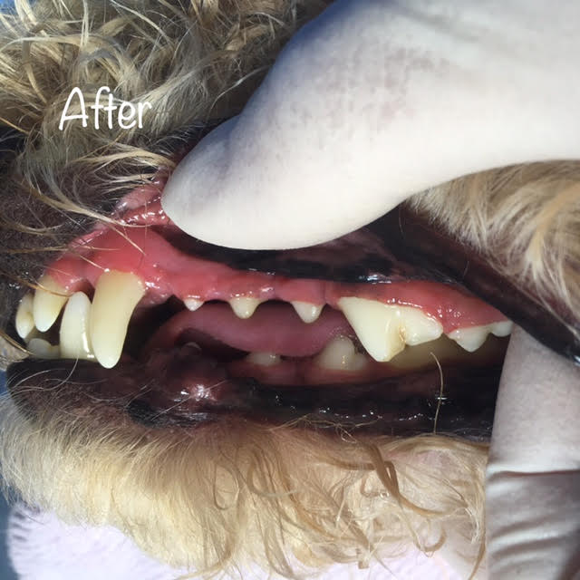 After After
