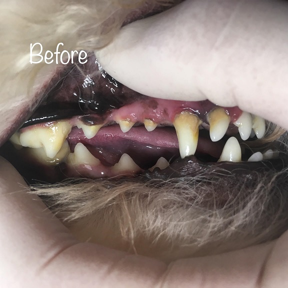 Before Before