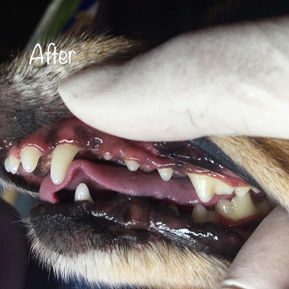 After After