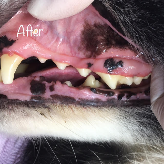 After After