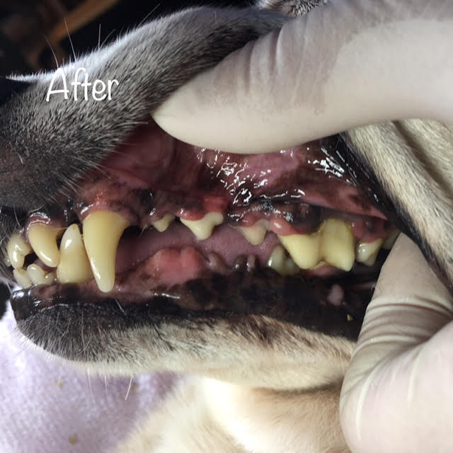 After After