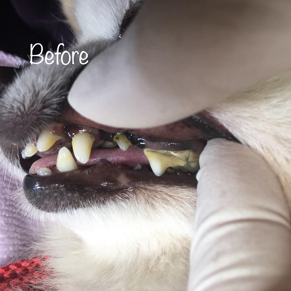 Before Before