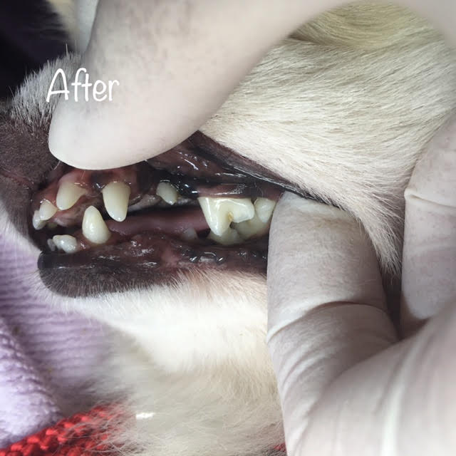 After After