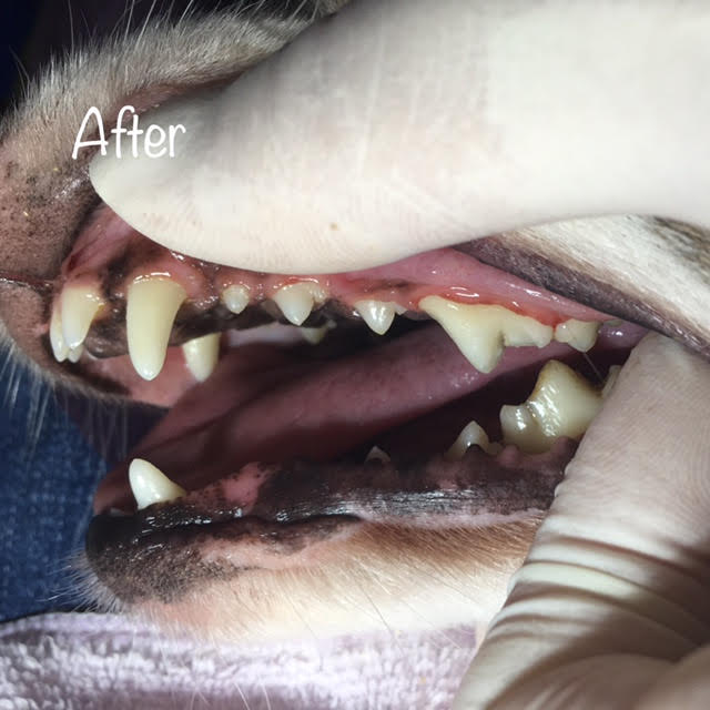 After After
