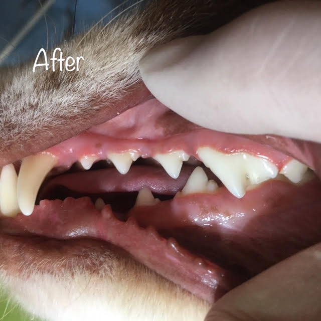 After After
