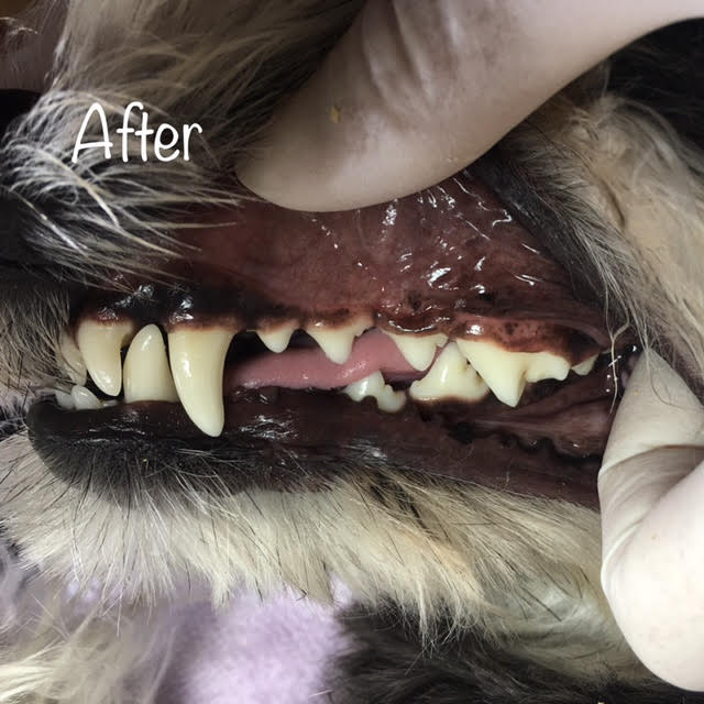 After After