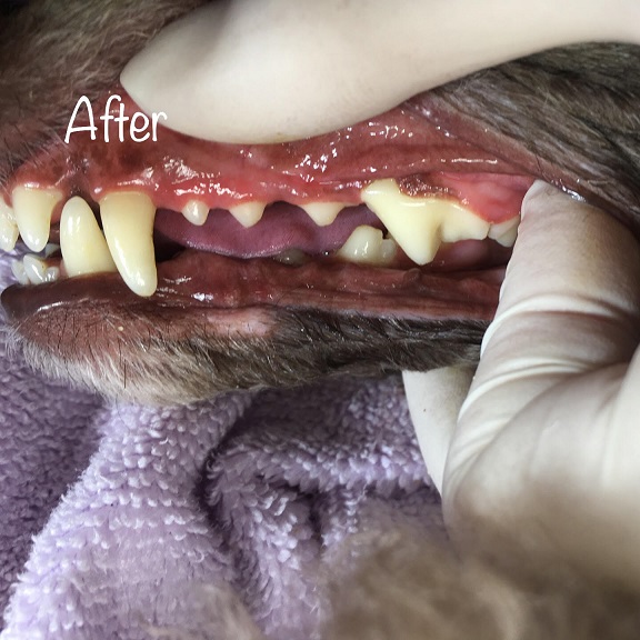 After After