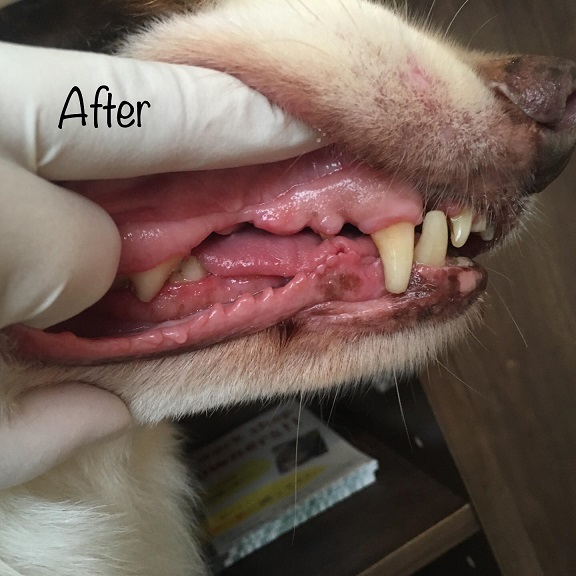 After After