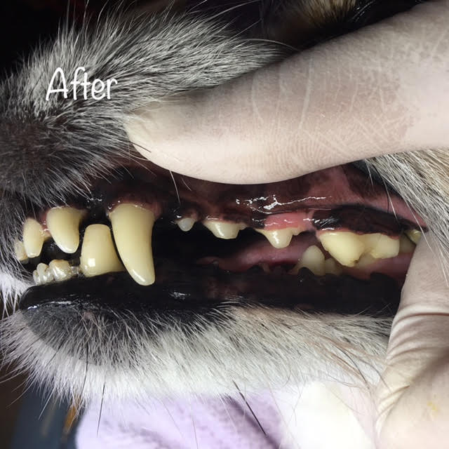 After After