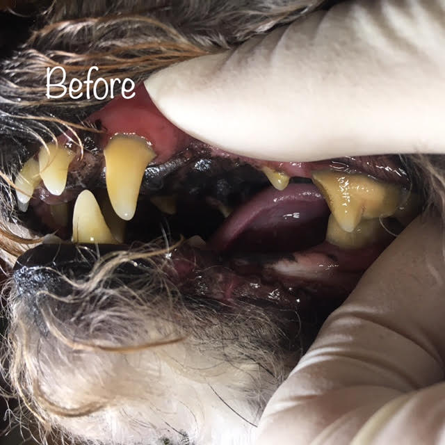 Before Before