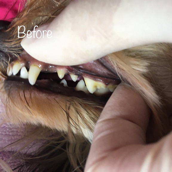 Before Before