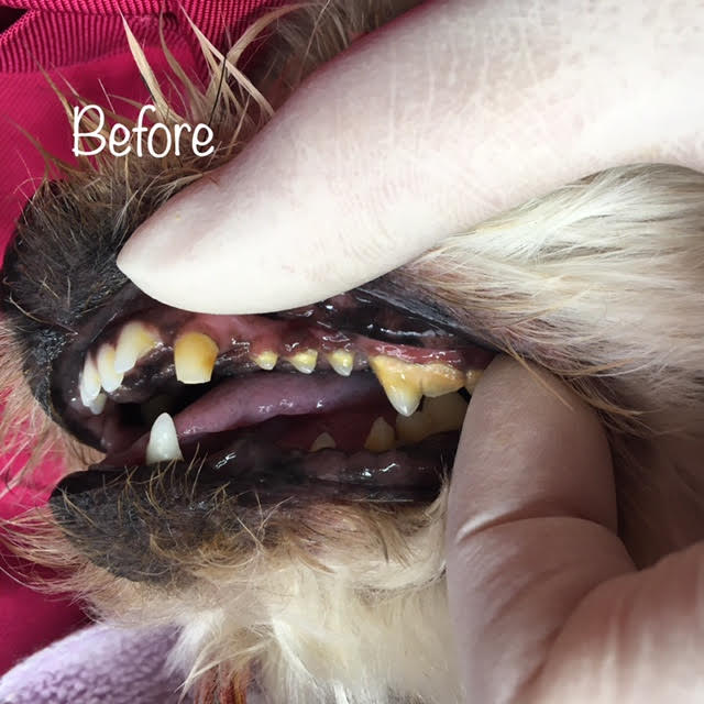 Before Before