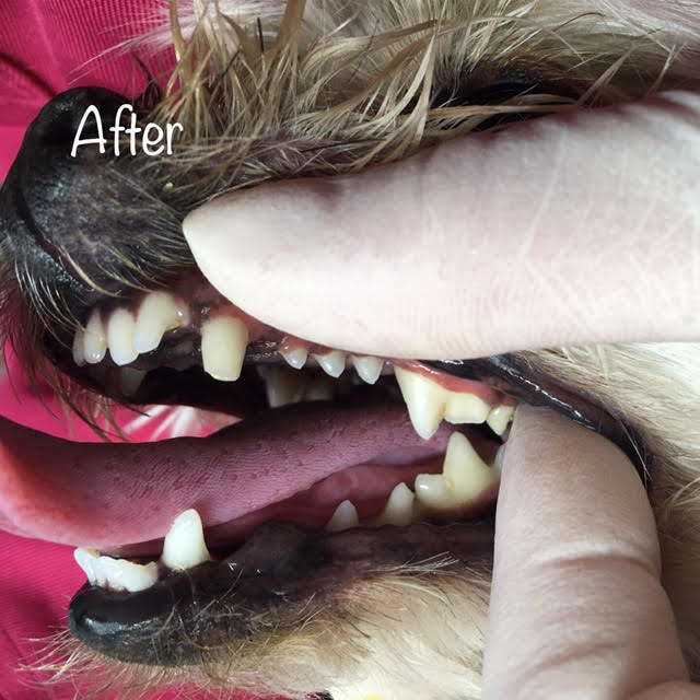 After After