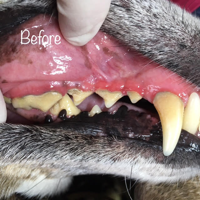 Before Before