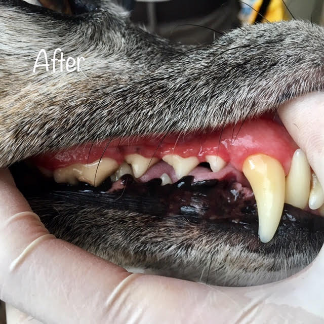 After After