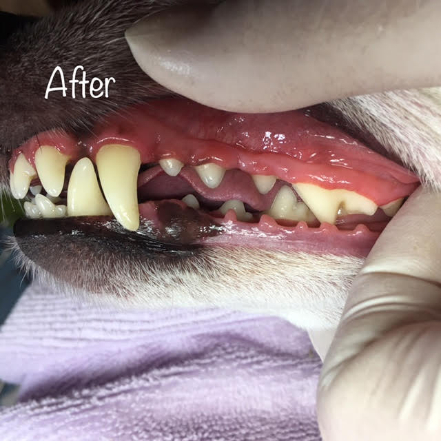 After After