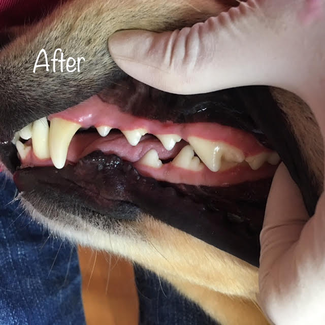 After After