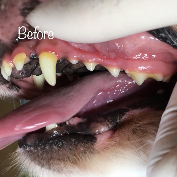 Before Before