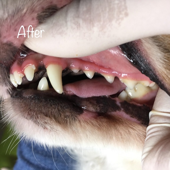 After After