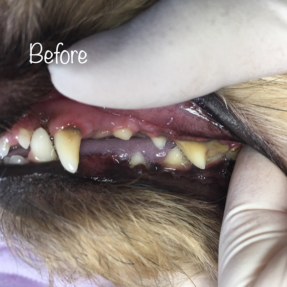 Before Before