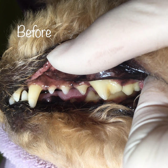 Before Before