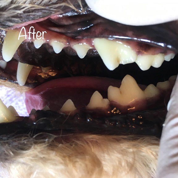 After After
